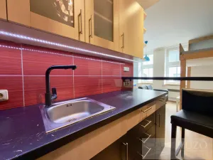 Pronájem bytu 1+kk, Plzeň, Rubešova, 25 m2