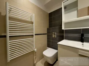 Pronájem bytu 1+kk, Plzeň, Rubešova, 25 m2
