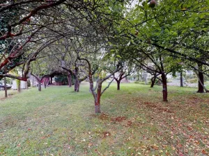 Prodej rodinného domu, Strakonice - Strakonice I, Krále Jiřího z Poděbrad, 264 m2