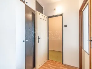 Prodej bytu 3+kk, Praha - Chodov, Vejvanovského, 61 m2