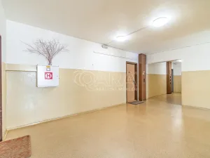 Prodej bytu 3+kk, Praha - Chodov, Vejvanovského, 61 m2
