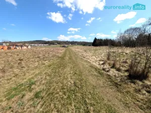 Prodej pozemku pro bydlení, Štěnovice, 7024 m2