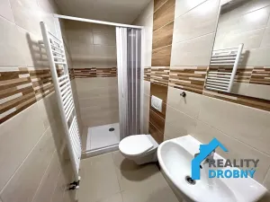 Pronájem bytu 1+1, Děčín, Horská, 36 m2