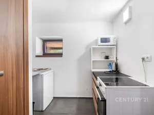 Prodej rodinného domu, Županovice, 489 m2