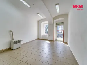 Pronájem obchodního prostoru, Plzeň - Jižní Předměstí, Palackého, 48 m2