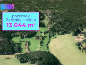 Prodej pole, Hošťka - Žebráky, 13044 m2