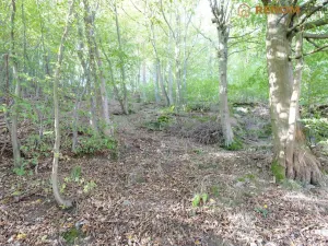 Prodej rodinného domu, Konice - Čunín, 97 m2