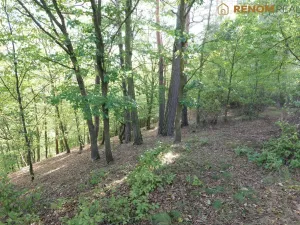 Prodej rodinného domu, Konice - Čunín, 97 m2
