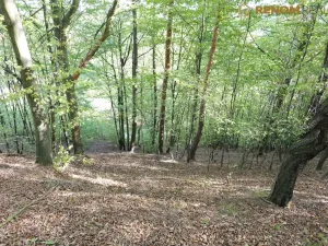 Prodej rodinného domu, Konice - Čunín, 97 m2