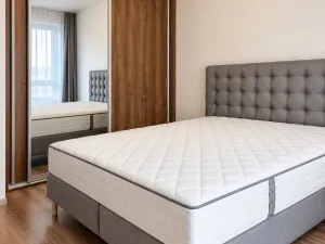 Prodej bytu 2+kk, Brno, Přadlácká, 49 m2
