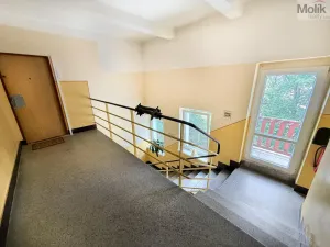 Prodej bytu 1+kk, Litvínov - Horní Litvínov, Podkrušnohorská, 33 m2