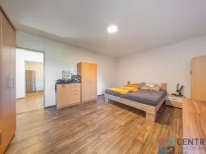 Prodej vícegeneračního domu, Veselá, 265 m2