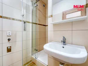 Pronájem bytu 1+1, Žihle, 44 m2