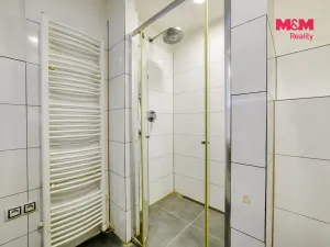 Pronájem bytu 2+1, Cheb, Družstevní, 64 m2
