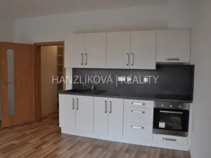 Pronájem bytu 1+kk, České Budějovice - České Budějovice 2, Volejbalistů, 30 m2