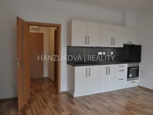 Pronájem bytu 1+kk, České Budějovice - České Budějovice 2, Volejbalistů, 30 m2