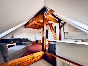 Pronájem bytu 1+kk, Cheb, Májová, 45 m2