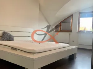 Pronájem bytu 3+1, Rožnov pod Radhoštěm, Palackého, 176 m2