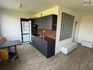 Prodej bytu 1+1, Most, Javorová, 35 m2