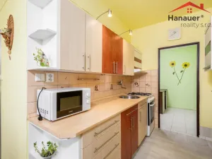 Prodej bytu 2+1, Děčín - Děčín VI-Letná, Školní, 63 m2