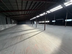 Pronájem skladu, Malé Březno, 900 m2