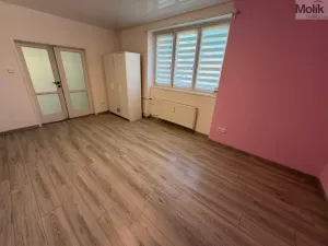 Prodej bytu 3+kk, Most, Petra Jilemnického, 75 m2