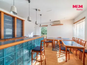 Prodej obchodního prostoru, Chudenín - Uhliště, 203 m2