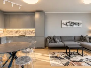Pronájem bytu 2+kk, Praha - Holešovice, Jankovcova, 60 m2