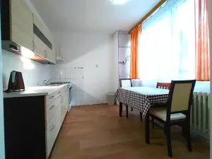 Pronájem bytu 1+1, Mladá Boleslav, U stadionu, 42 m2