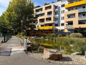Pronájem bytu 2+kk, Brno - Žabovřesky, Sochorova, 53 m2