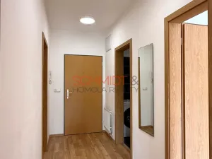 Pronájem bytu 2+kk, Brno - Žabovřesky, Sochorova, 53 m2