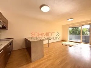 Pronájem bytu 2+kk, Brno - Žabovřesky, Sochorova, 53 m2