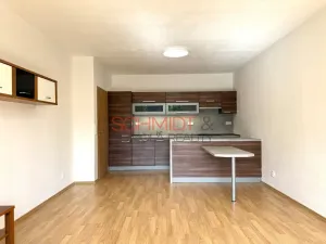 Pronájem bytu 2+kk, Brno - Žabovřesky, Sochorova, 53 m2
