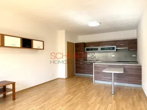 Pronájem bytu 2+kk, Brno - Žabovřesky, Sochorova, 53 m2