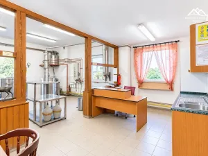 Pronájem výrobních prostor, Nová Ves u Chotěboře, 266 m2