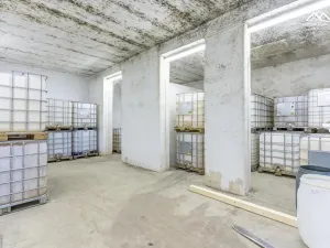 Pronájem výrobních prostor, Nová Ves u Chotěboře, 266 m2
