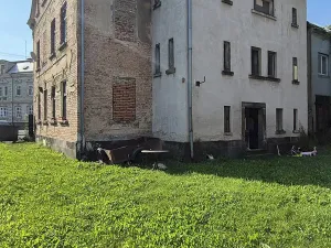 Prodej činžovního domu, Šluknov, Budišínská, 450 m2