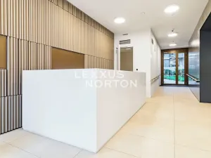 Pronájem bytu 1+kk, Praha - Smíchov, Šiklové, 38 m2