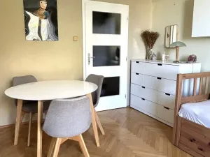 Prodej bytu 2+1, Plzeň - Východní Předměstí, Krejčíkova, 62 m2