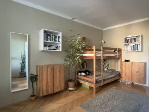 Prodej bytu 2+1, Plzeň - Východní Předměstí, Krejčíkova, 62 m2