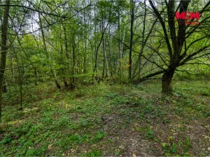 Prodej pole, Blíževedly, 51974 m2
