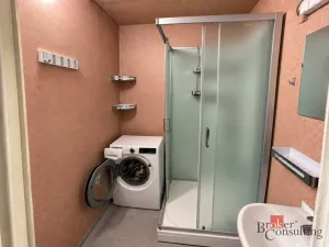 Pronájem bytu 4+1, Planá, Bohušova, 89 m2