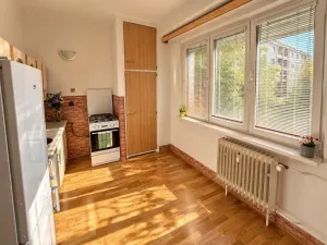 Prodej bytu 2+1, Kralupy nad Vltavou - Lobeček, Hakenova, 56 m2