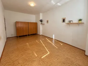 Prodej bytu 2+1, Kralupy nad Vltavou - Lobeček, Hakenova, 56 m2