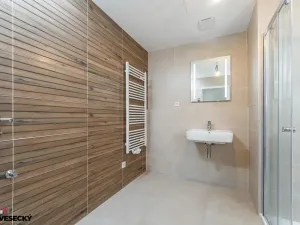 Prodej bytu 1+kk, Plzeň, Železná, 38 m2
