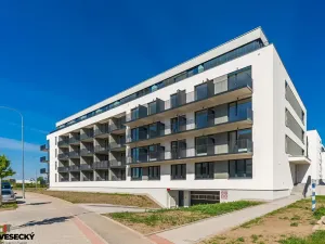 Prodej bytu 1+kk, Plzeň, Železná, 38 m2
