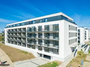 Prodej bytu 1+kk, Plzeň, Železná, 38 m2