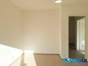 Pronájem bytu 2+kk, Praha - Karlín, Švarcova, 54 m2
