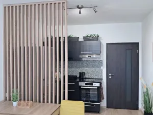 Pronájem bytu 1+kk, Praha - Střížkov, Zakšínská, 30 m2