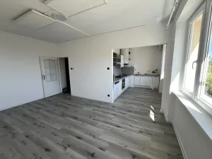 Prodej bytu 2+1, Litvínov - Horní Litvínov, Vinohradská, 55 m2